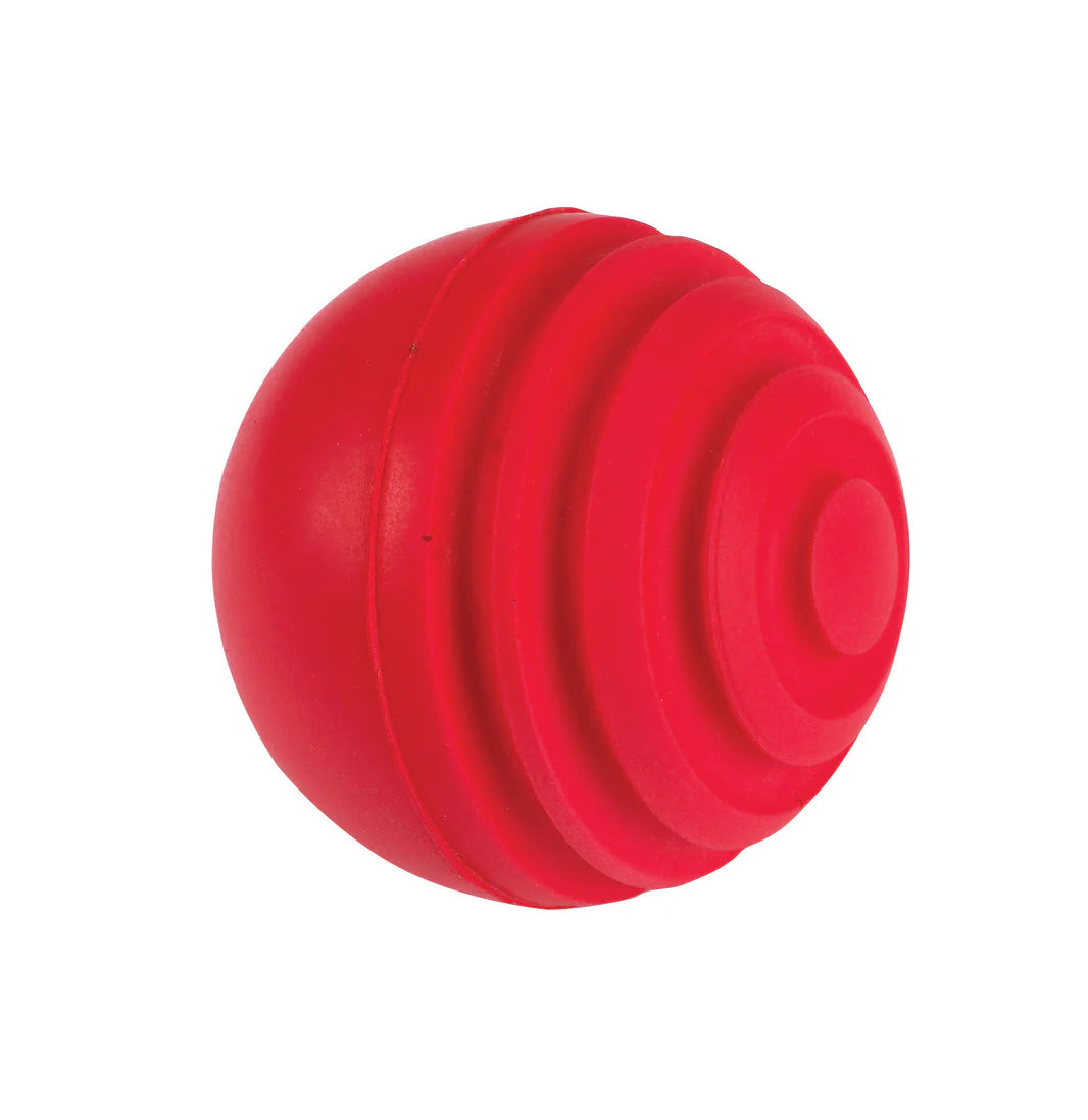 Gray-Nicolls Indoor Wobble Ball