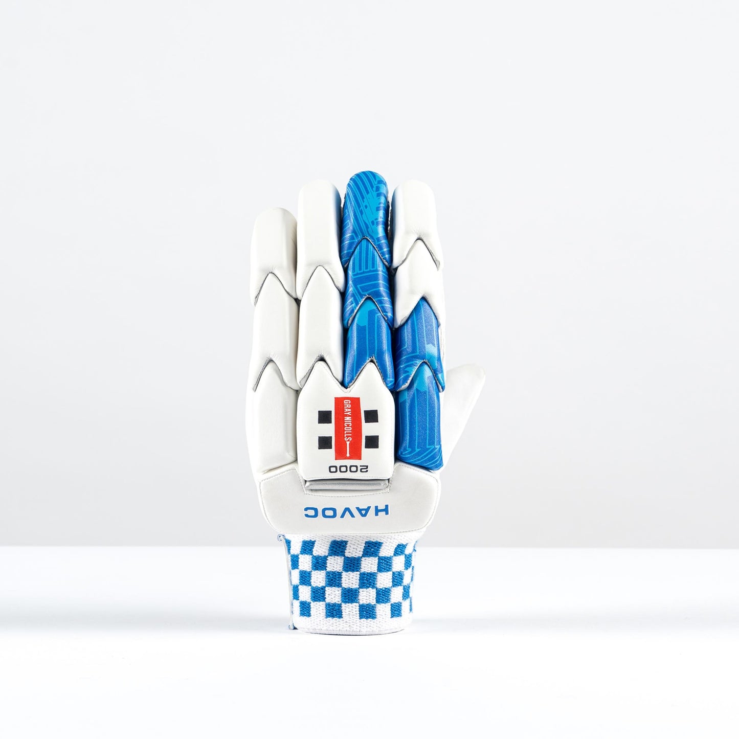 Gray-Nicolls Havoc 1.0 2000 Glove