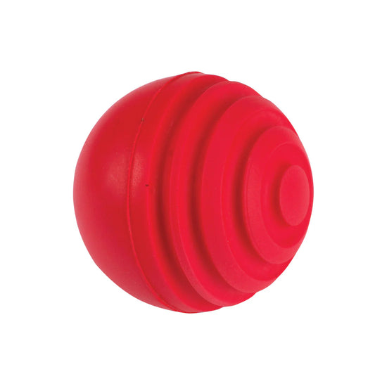 Gray-Nicolls Indoor Wobble Ball