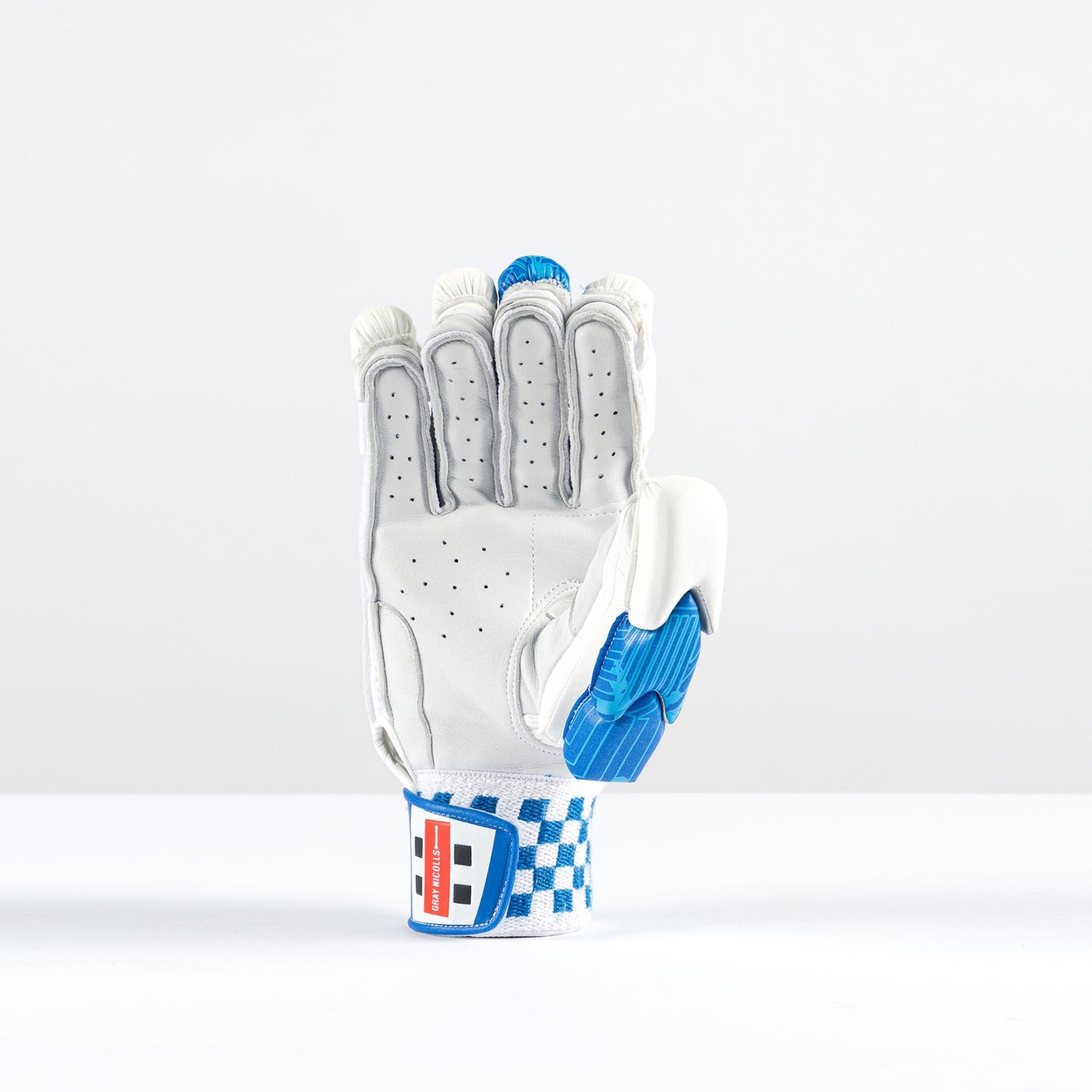 Gray-Nicolls Havoc 1.0 2000 Glove