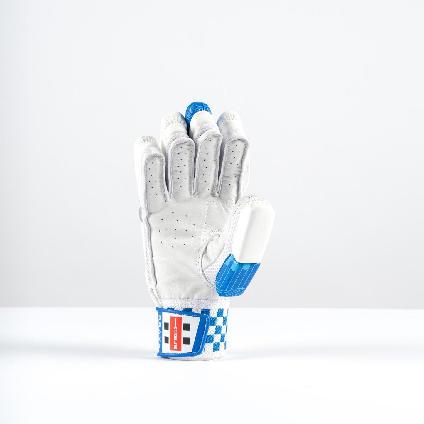 Gray-Nicolls Havoc 1.0 700 Glove